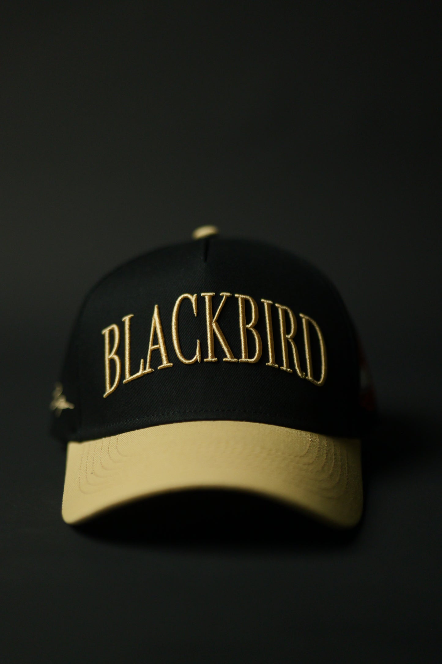 Blackbird "Burning"  A-frame