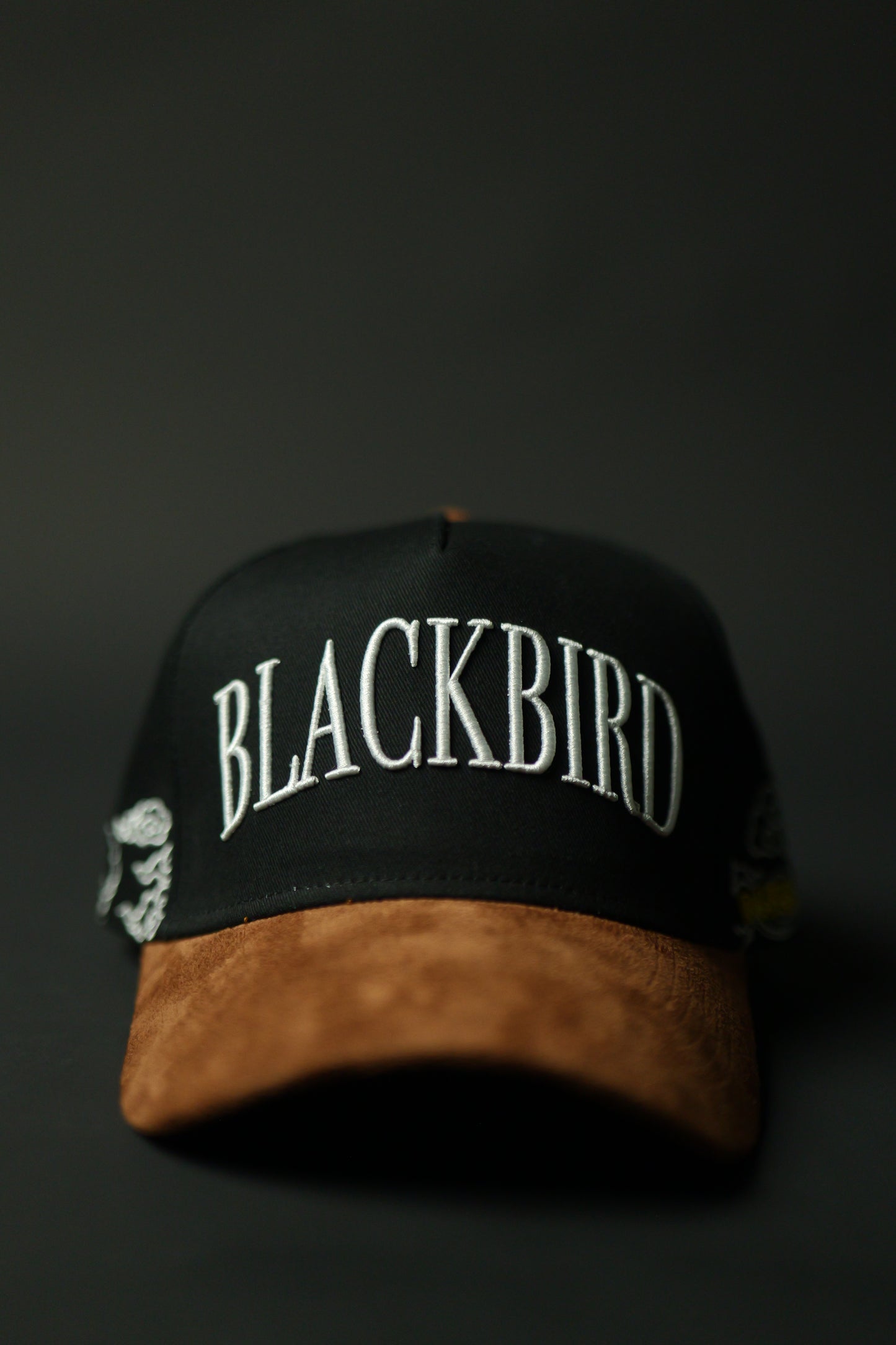Blackbird "HEAD IN THE CLOUDS" A-frame