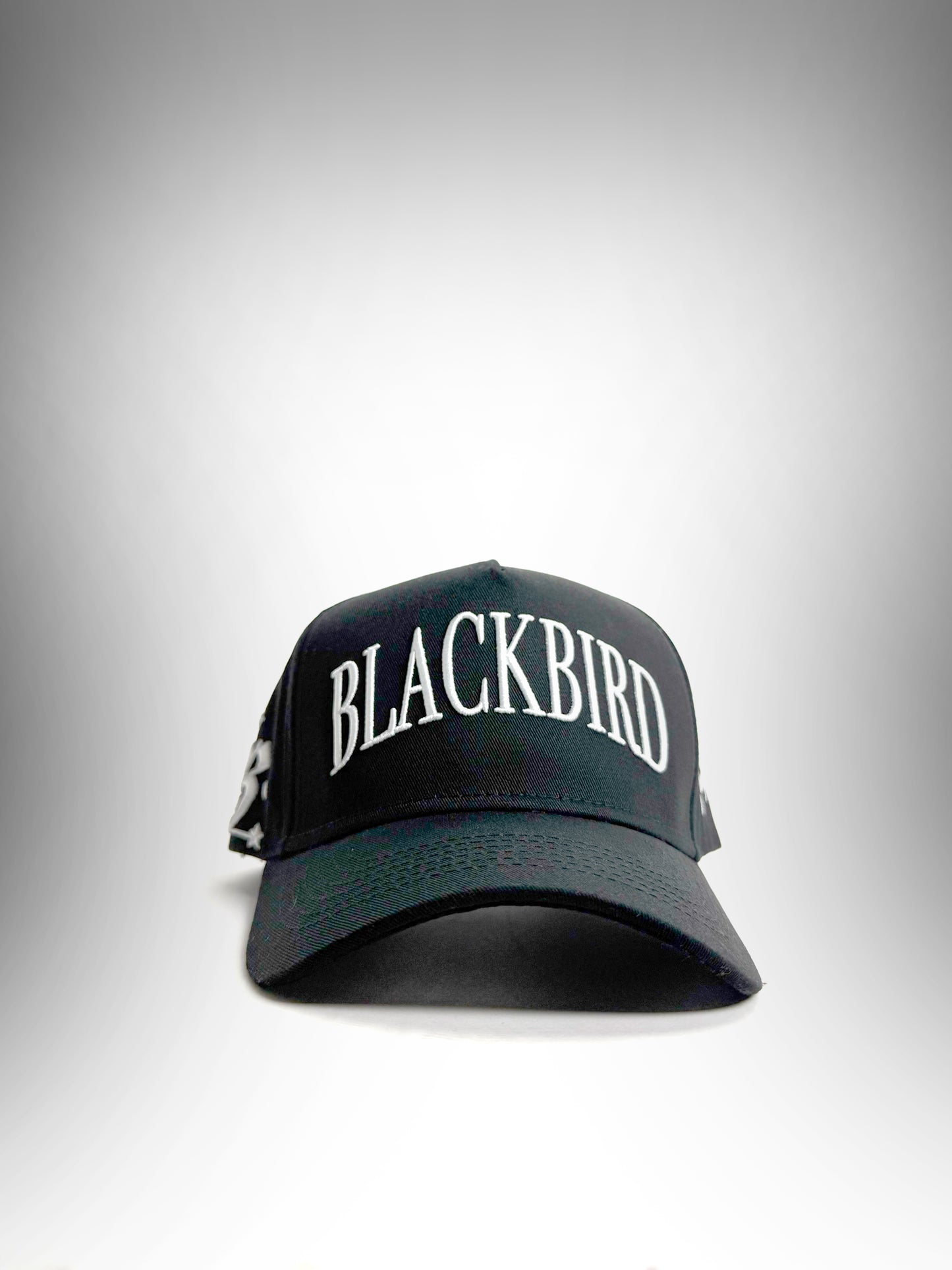 Blackbird Oblivion A-Frame Hat