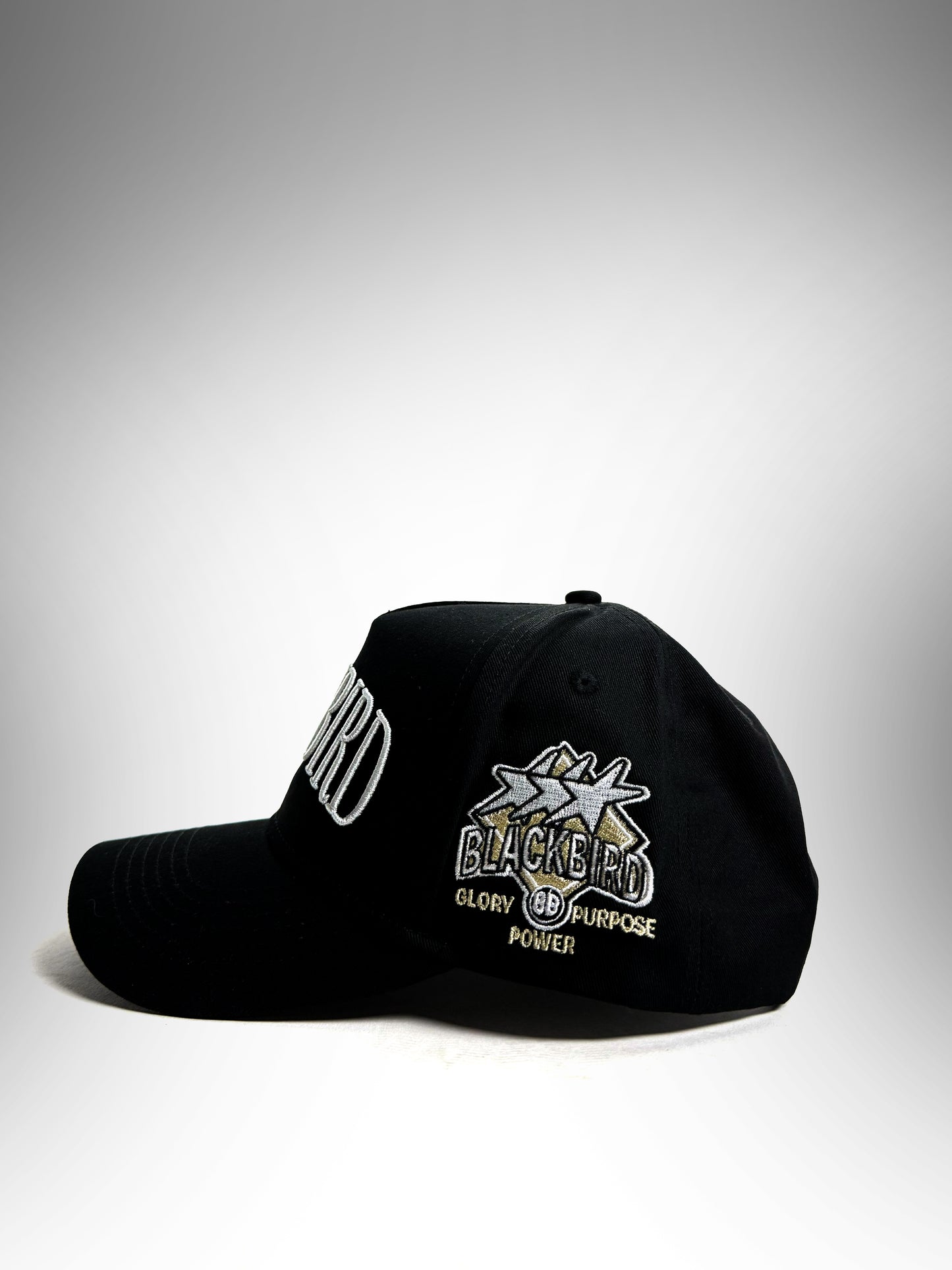 Blackbird Midnight A-Frame Hat