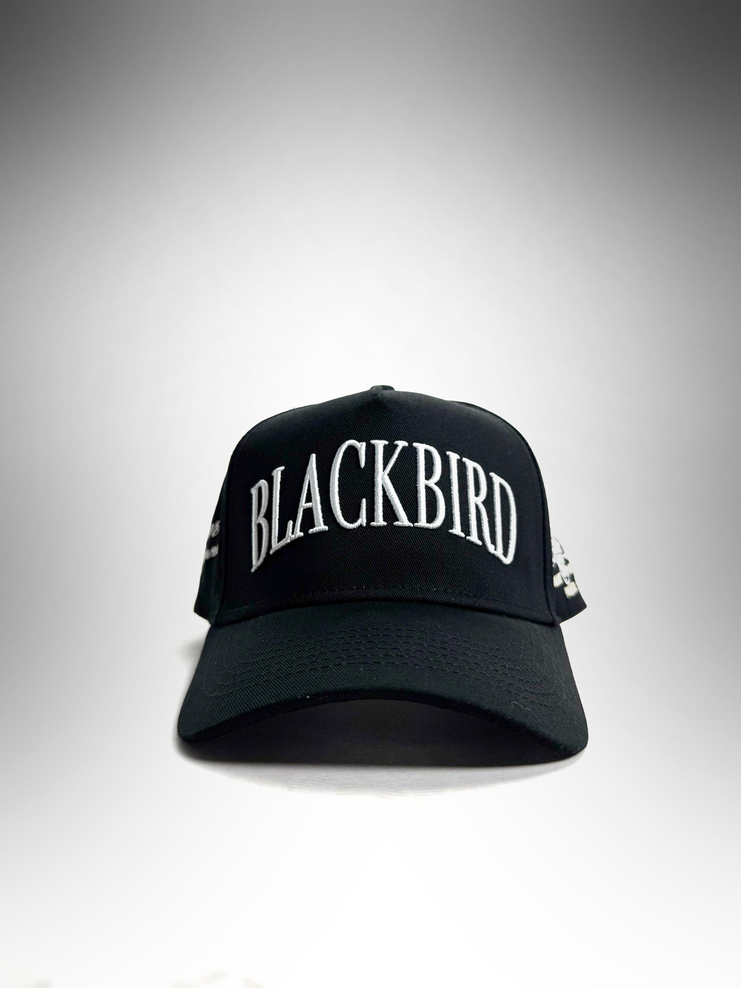 Blackbird Midnight A-Frame Hat